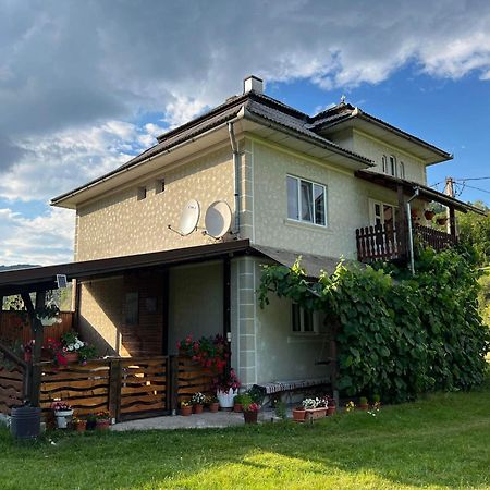 Casa Danut Villa Vidra  Eksteriør billede