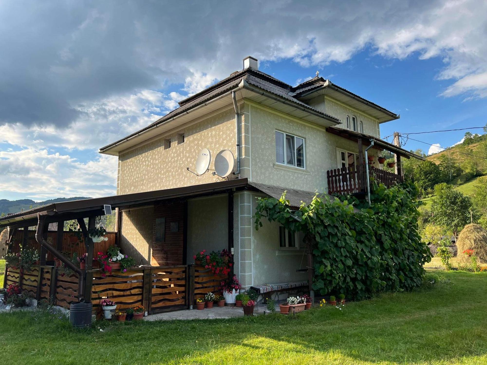Casa Danut Villa Vidra  Eksteriør billede
