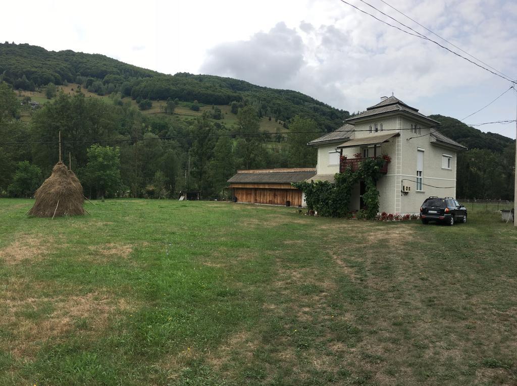 Casa Danut Villa Vidra  Eksteriør billede